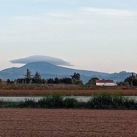 Piolenc Chambre D'Hotes Les Garrigues מראה חיצוני תמונה